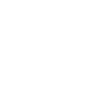 betapic logo in white